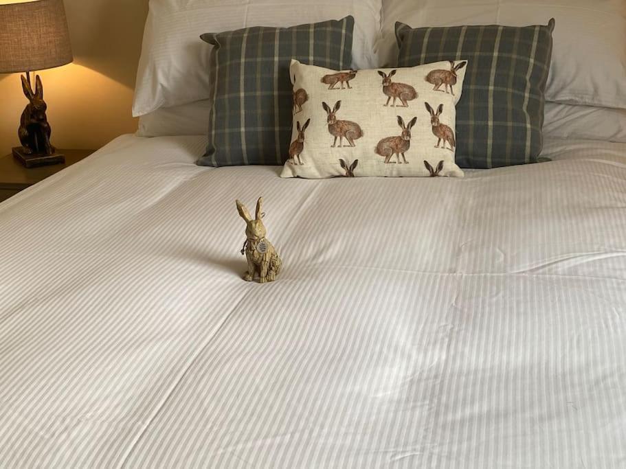 The Burrow, Langholm, Dumfries And Galloway 외부 사진